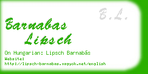 barnabas lipsch business card